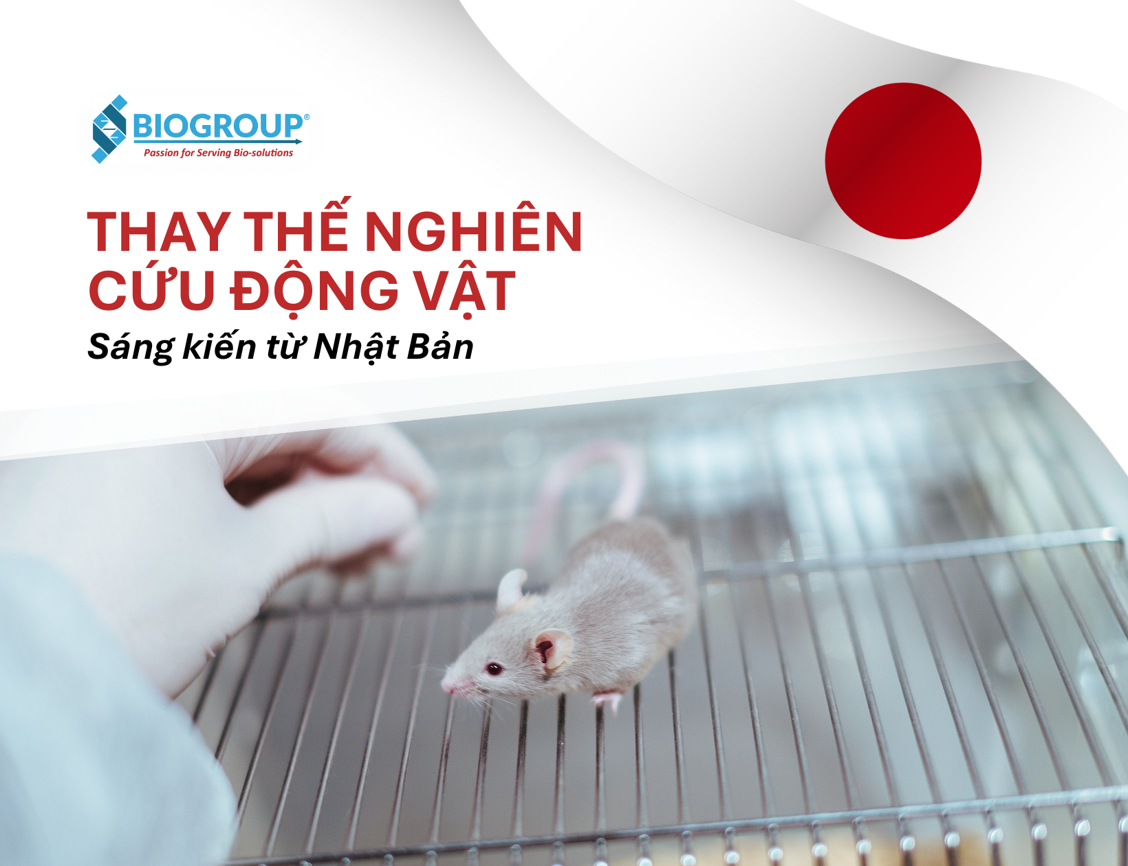 Sáng kiến riêng trong thay thế nghiên cứu động vật của Nhật